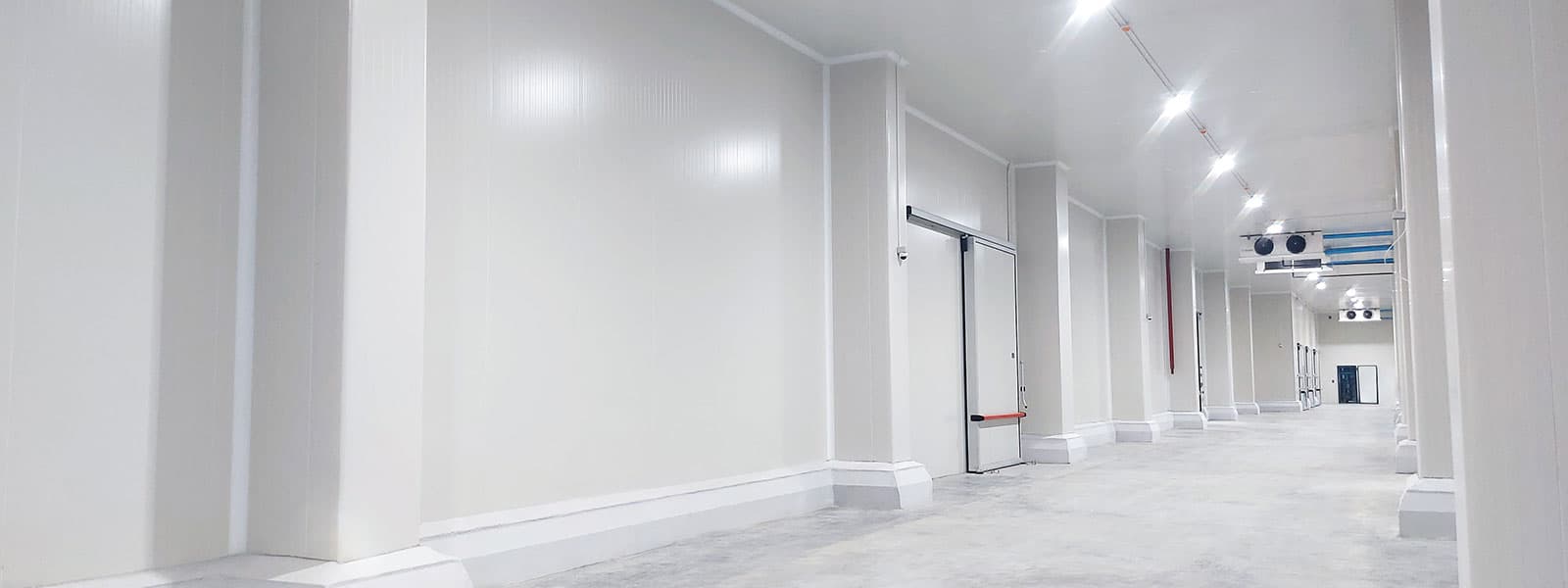 Preserving Fresh Produce in Egypt | Insulated Panel Solutions Preserving Fresh Produce in Egypt | Insulated Panel Solutions